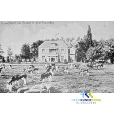 Pannerden West Doornenburg (8)
